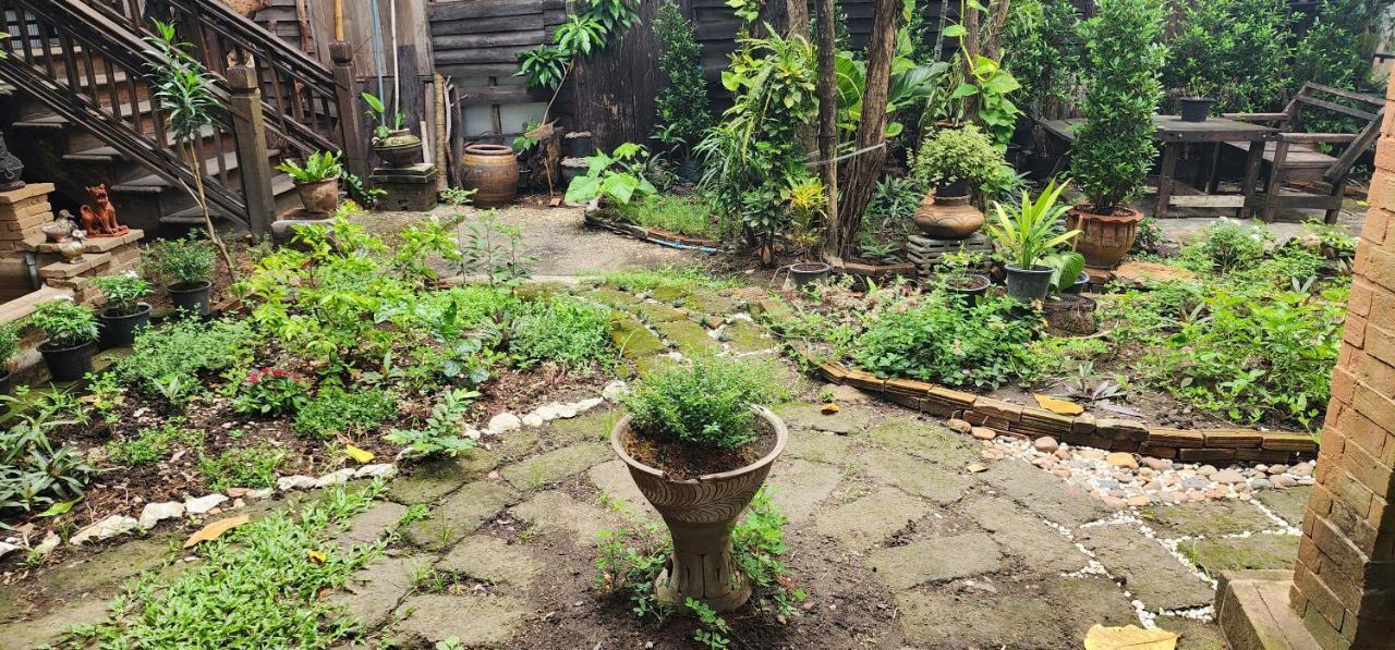 Cozy Nest Cnx Hostel Chiang Mai Ngoại thất bức ảnh