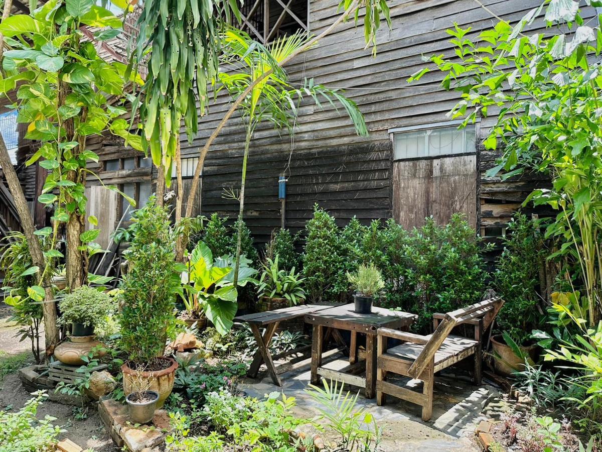Cozy Nest Cnx Hostel Chiang Mai Ngoại thất bức ảnh