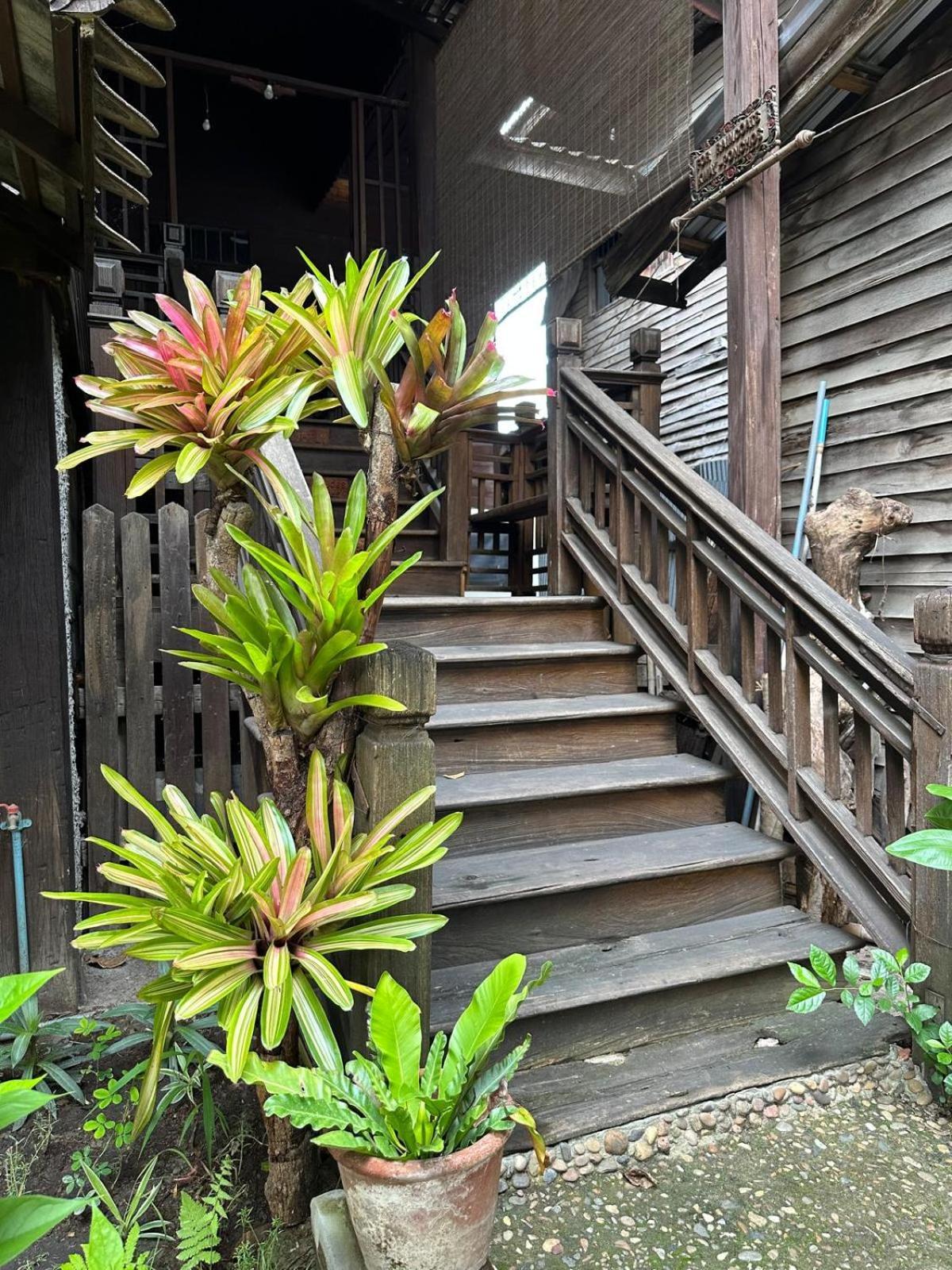 Cozy Nest Cnx Hostel Chiang Mai Ngoại thất bức ảnh